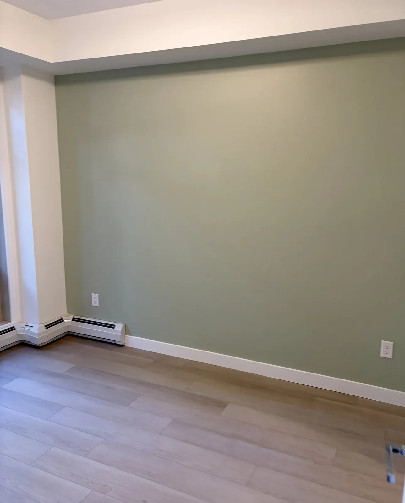 An empty bedroom with one wall painted sage green and crisp white baseboards
