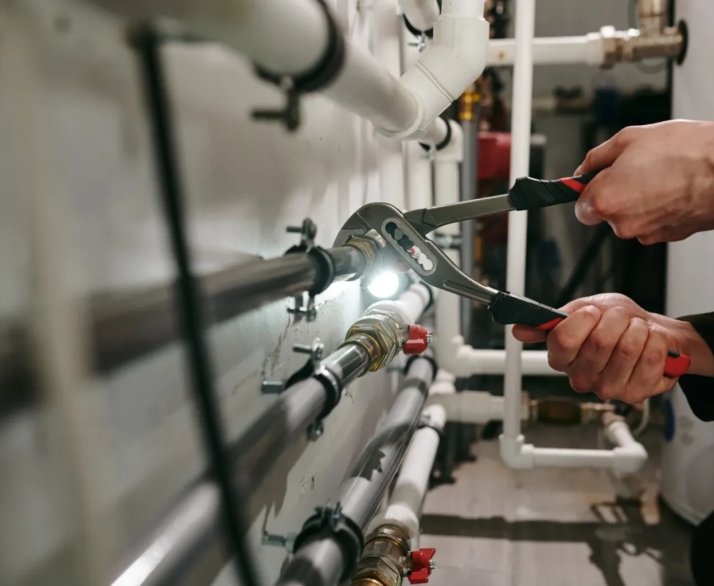 635af21ceeb8ef54a82645e2_shutterstock_2010435512-optimized